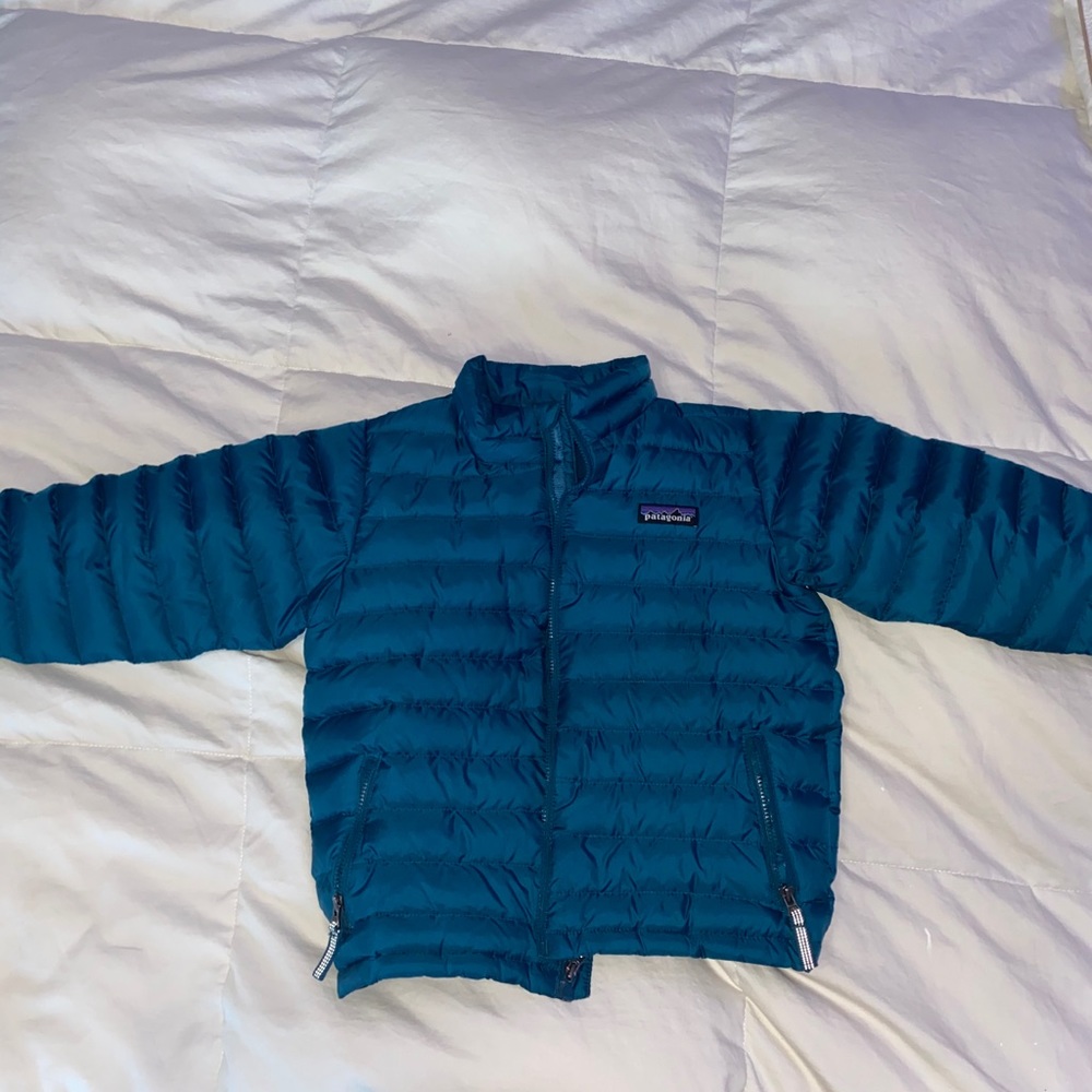 Patagonia down sweater kids jacket.